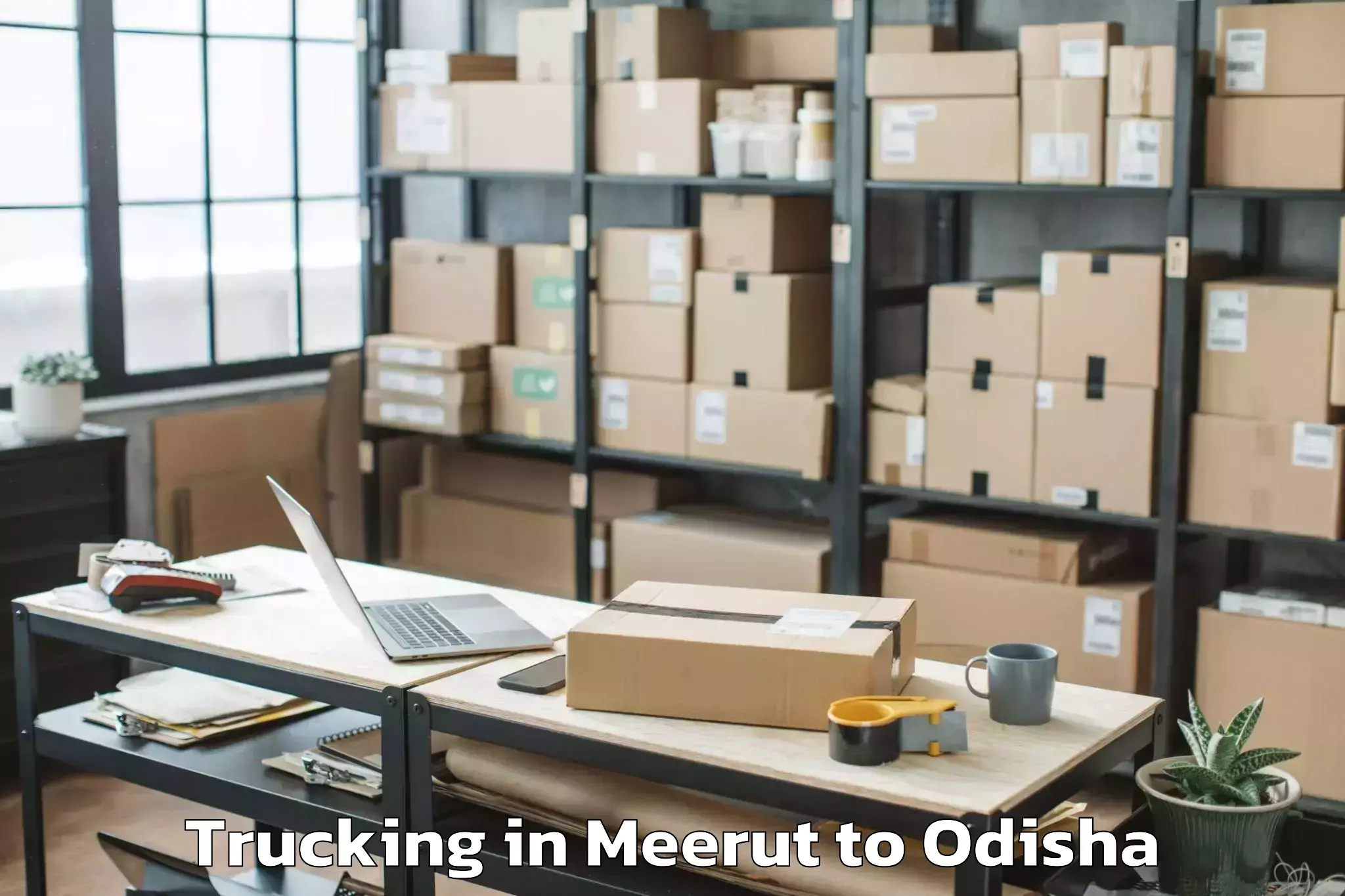 Affordable Meerut to Anugul Trucking